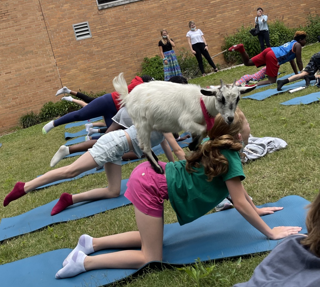 A group of campgoers doing yoga outside on mats includes one girl camper with a goat on her back.